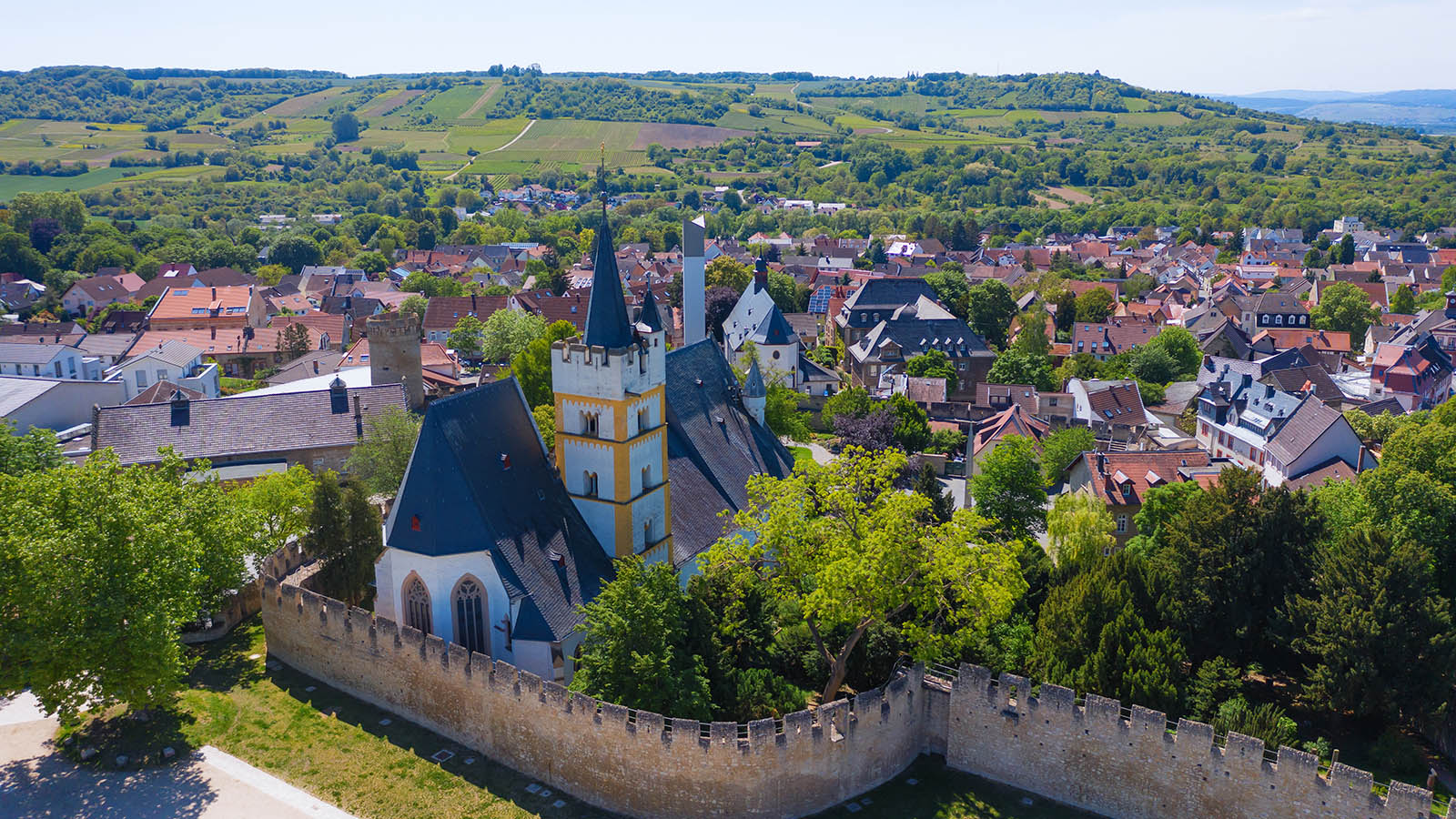 AVGS Coaching - Ingelheim (Mainz-Bingen)