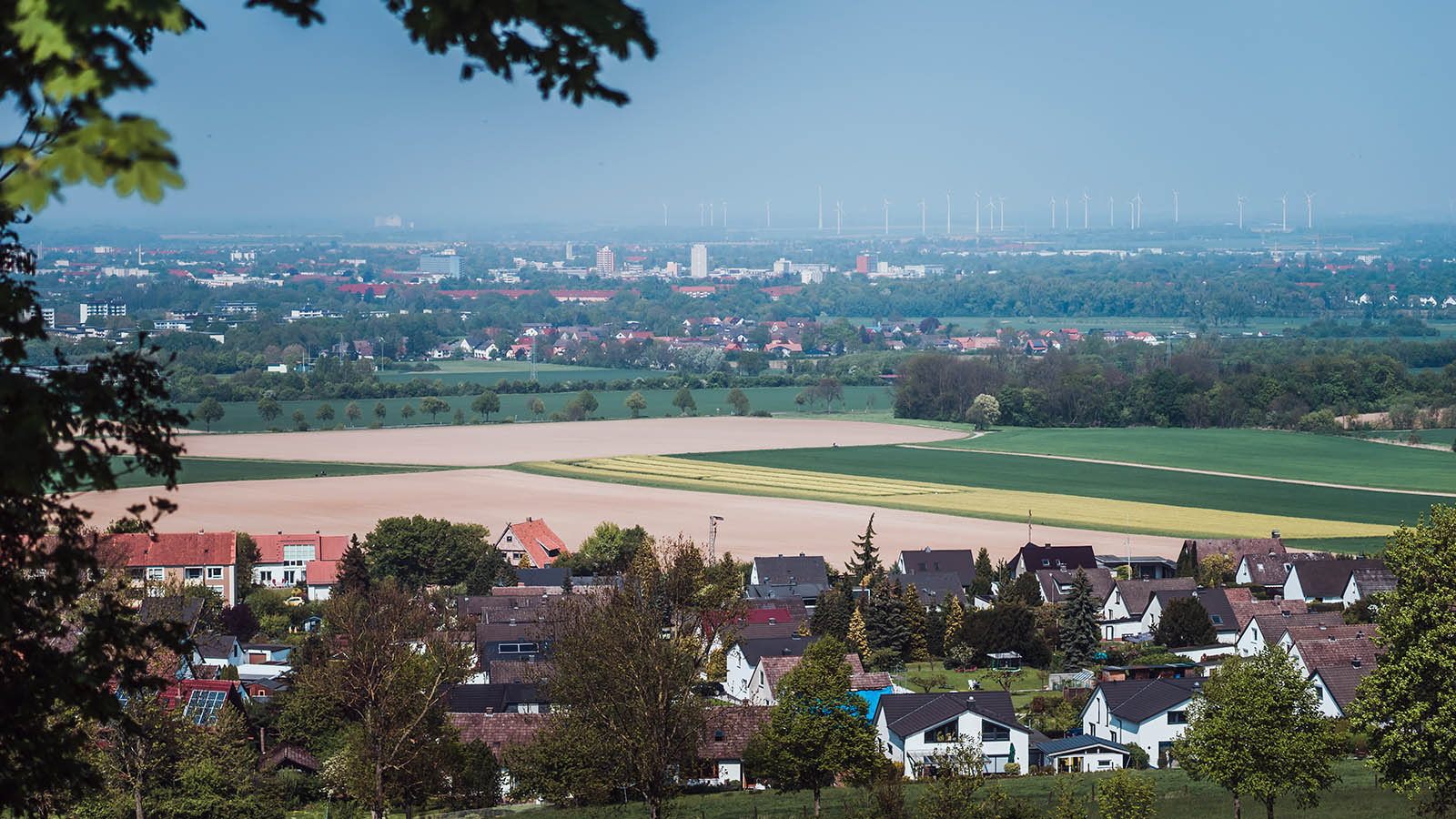 AVGS Coaching - Salzgitter