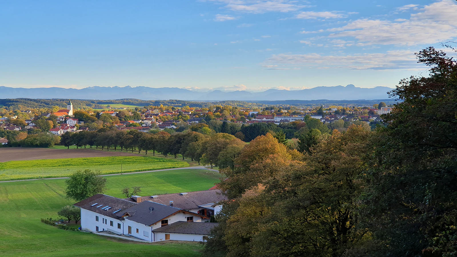 AVGS Coaching - Ebersberg