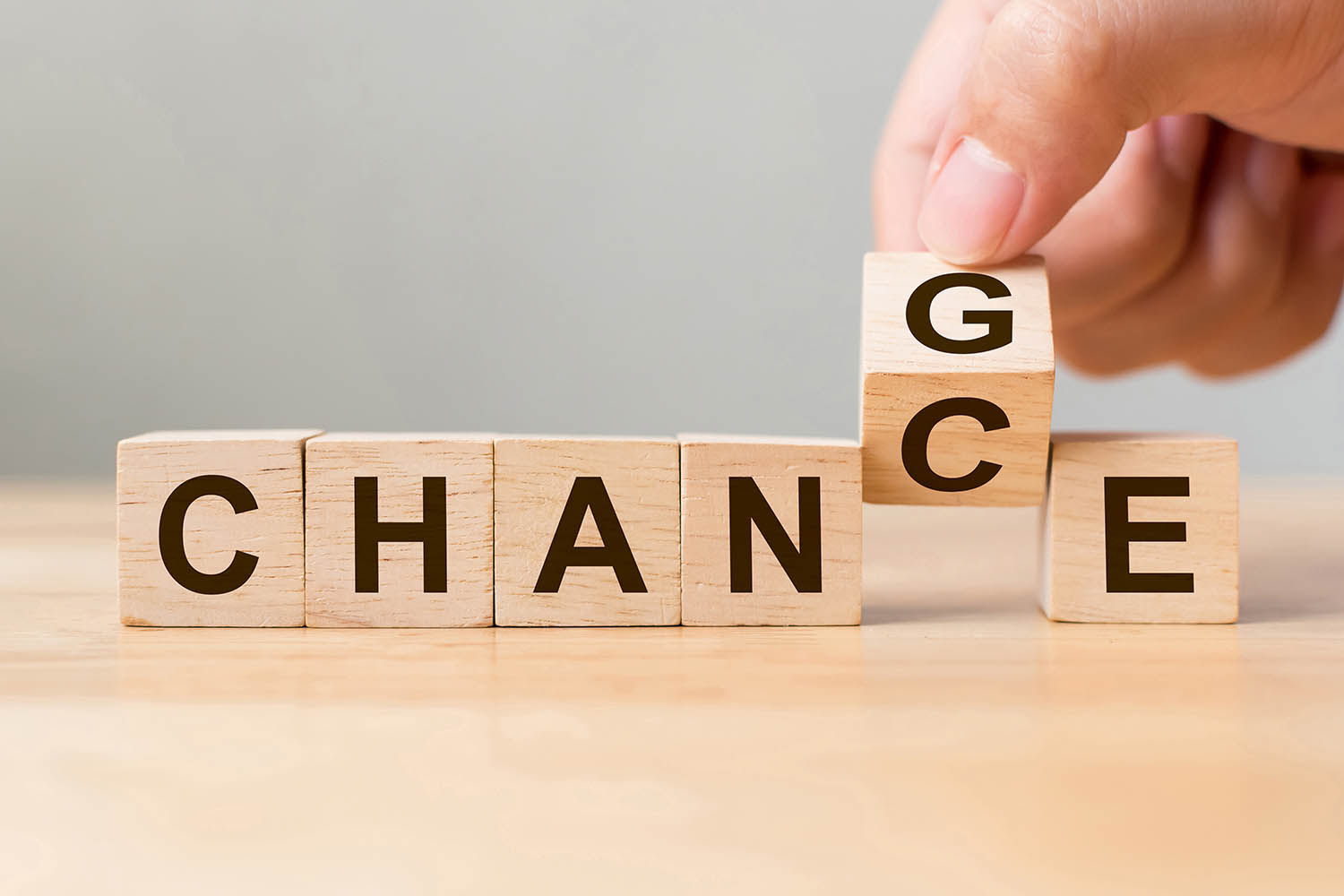 Deine Chance - Avocons Netzwerk