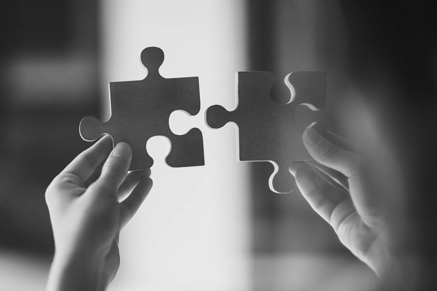 AVGS Experten Netzwerk