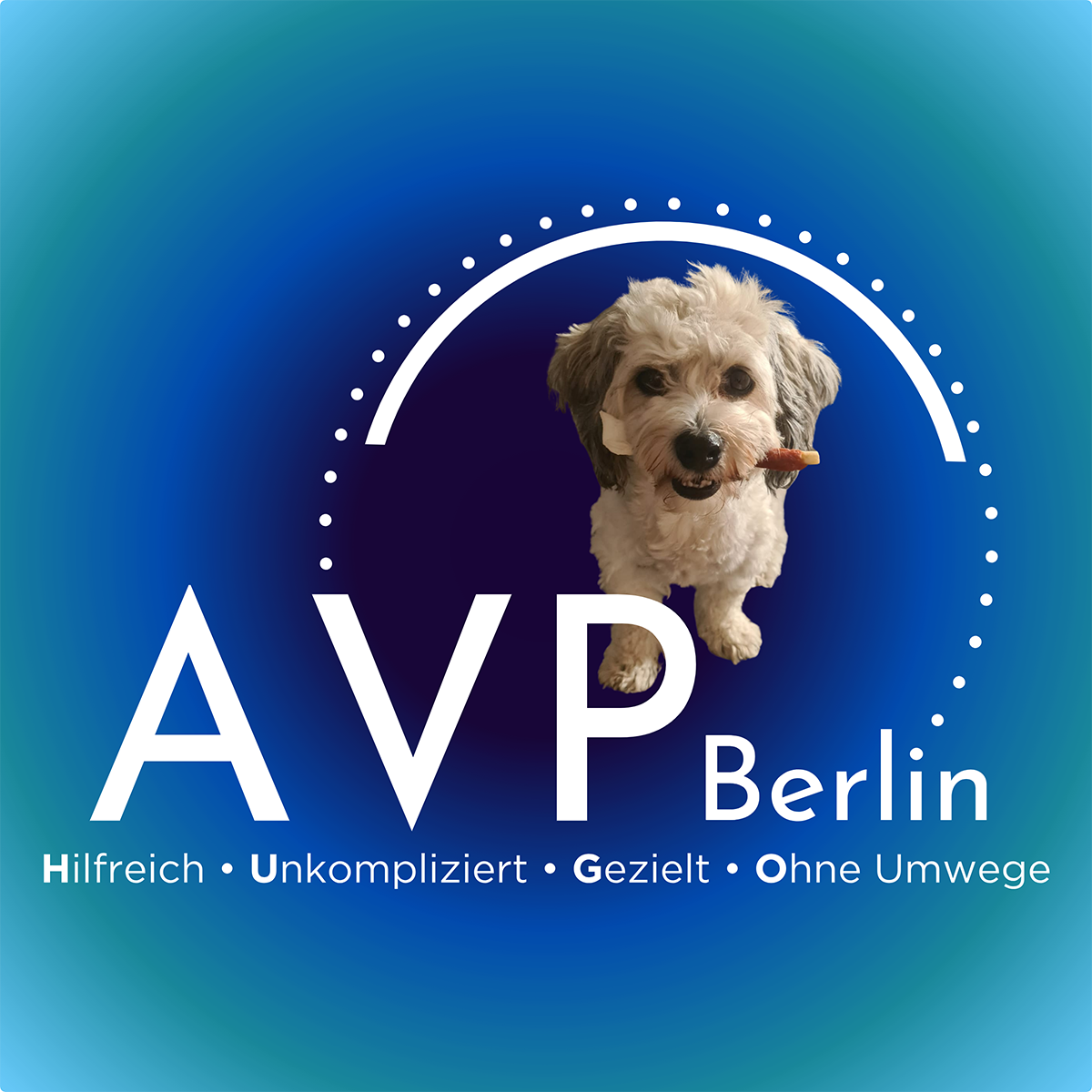 AVP-Berlin - private Arbeitsvermittlung